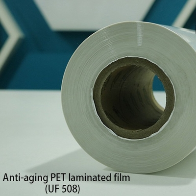 PVDF στεγανοποιώντας μεμβράνες ταινιών ταινιών αντιδιαβρωτικές τοποθετημένες σε στρώματα ταινία