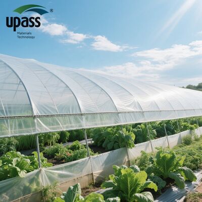 Φαρμακευτική ταινία θερμοκηπίου UF508 αντι-UV αντι-γήρανσης 5000 τετραγωνικά μέτρα MOQ 100x55x55cm