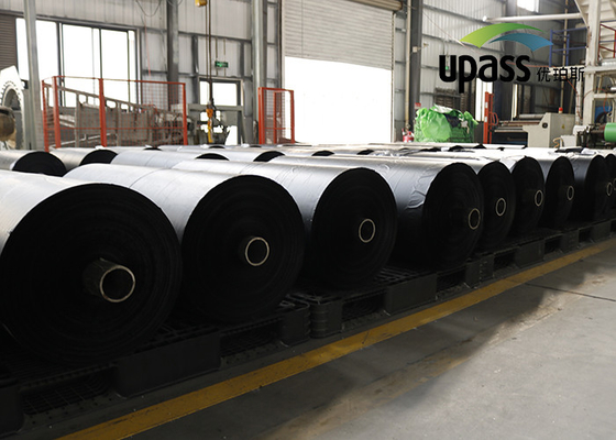 Στεγανοποιώντας θερμική HDPE ταινιών απελευθέρωσης ταινία πολυεστέρα PE ντυμένη σιλικόνη
